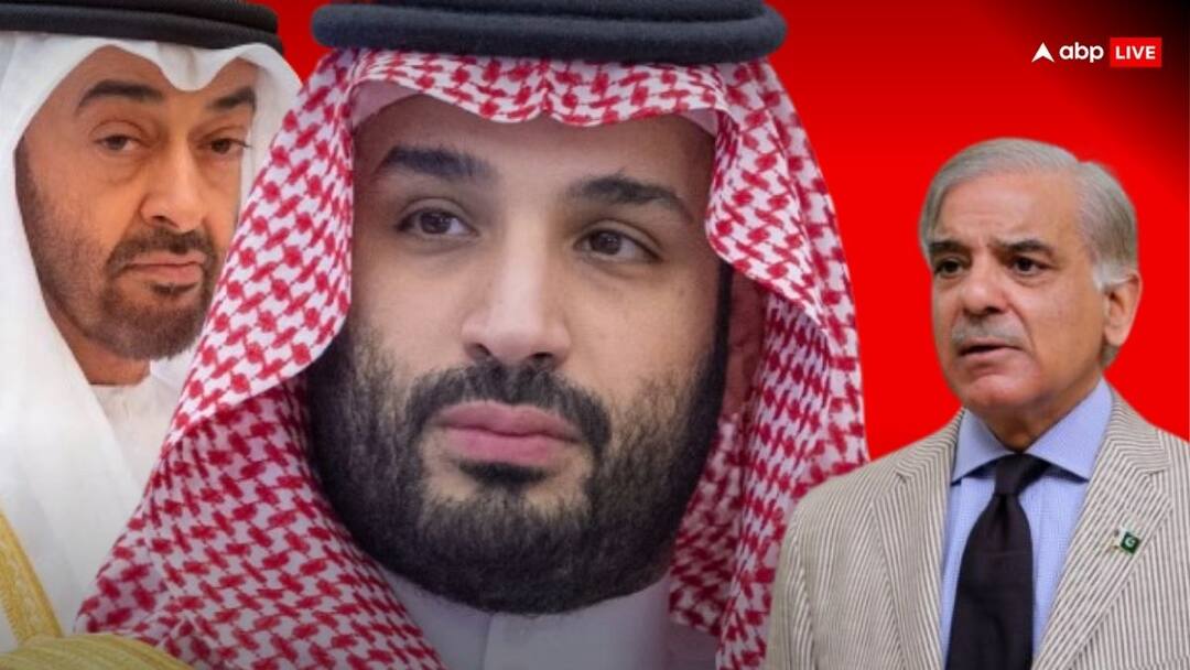 ऑपरेशन सिंदूर के बाद पुराने कट्टर इस्लामिक मुल्कों ने छोड़ दिया PAK का साथ? सिर्फ इन खास मुस्लिम देशों के दौरे पर निकले शहबाज शरीफ Operation Sindoor Shehbaz Sharif meets Reccep Tayyip Erdogan Turkey and Pakistan reiterated resolve to enhance strategic partnership ऑपरेशन सिंदूर के बाद पुराने कट्टर इस्लामिक मुल्कों ने छोड़ दिया PAK का साथ? सिर्फ इन खास मुस्लिम देशों के दौरे पर निकले शहबाज शरीफ