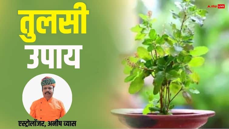 Tulsi Upay: सता रहा है नौकरी जाने का डर, तो कर लें तुलसी का ये उपाय, बिंदास कटेगा जीवन