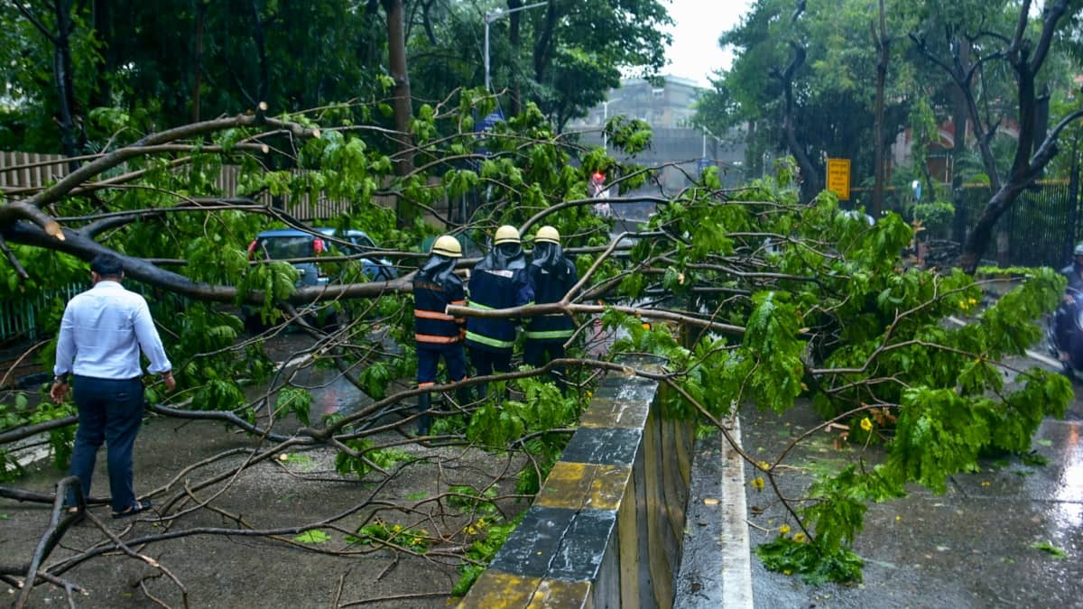 मुंबई शहर में यातायात ठप, मेट्रो और लोकल ट्रेनें प्रभावित, भारी बारिश को लेकर IMD ने जारी किया रेड अलर्ट