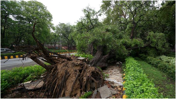 The thunderstorm accompanied with heavy rains disrupted flight operations, uprooting trees and electricity poles, and causing waterlogging in several areas of Delhi. (Source: PTI)