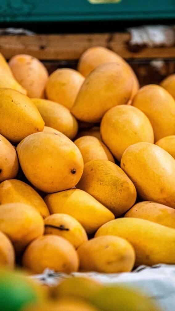 మామిడి పండ్లను ఎక్కువగా పండించే దేశం ఏదో తెలుసా?