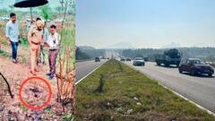 रांजणगावात महिलेचा अर्धवट जळालेला मृतदेह सापडला, दोन चिमुकल्यांच्या शरीराची राख झाली,  हातावर 'जय भीम' टॅटू