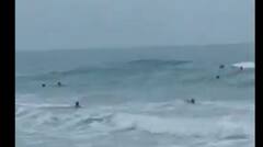 ਆਈਪੀਐੱਲ ਵਿਚਾਲੇ ਕ੍ਰਿਕਟ ਜਗਤ 'ਚ ਮੱਚੀ ਤਰਥੱਲੀ, ਦਿੱਗਜ ਖਿਡਾਰੀ ਦੇ ਭਰਾ ਨਾਲ ਵਾਪਰਿਆ ਭਿਆਨਕ ਹਾਦਸਾ; ਅਚਾਨਕ ਪਲਟੀ... 