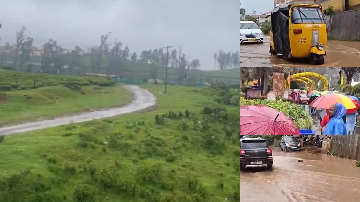 Nilgiris Heavy Rain: மூடப்பட்ட சுற்றுலா தளங்கள்.. மிதக்கும் ஊட்டி.. தத்தளிக்கும் மக்கள்! விடாமல் அடிக்கும் மழை