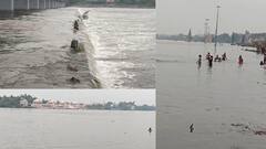 Pandharpur Heavy Rain: पंढरपुरात मुसळधार पाऊस, चंद्रभागा नदीची पातळी वाढली, जुना दगडी पूल पाण्याखाली