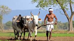 PM Kisan scheme: விவசாயிகளே மே 31 கடைசி தேதி..‌. வருடம் 6000 ரூபாய்.. செய்ய வேண்டியது என்ன ?
