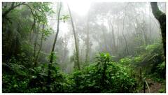 తెలుగు రాష్ట్రాలను తాకిన నైరుతి రుతుపవనాలు- గుడ్ న్యూస్ చెప్పిన వాతావరణ శాఖ