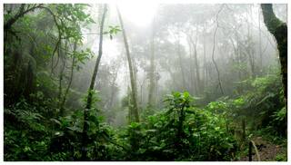 Weather Forecast: દેશના 8 રાજ્યોમાં ભારે પવન સાથે વરસાદનું એલર્ટ, હવામાન વિભાગની આગાહી