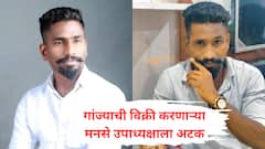 चार किलो गांजासह मनसेचा शहर उपाध्यक्ष अटकेत, गुन्हे शाखेच्या कारवाईने राजकीय वर्तुळात खळबळ