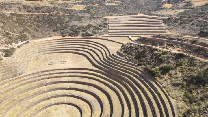 সেই এলিয়েন মমি নিয়ে এবার চাঞ্চল্যকর তথ্য উঠে এল। বিজ্ঞানীদের দাবি তিন আঙুল বিশিষ্ট ওই এলিয়েন মমিগুলিগুলিকে খুন করা হয়েছিল।