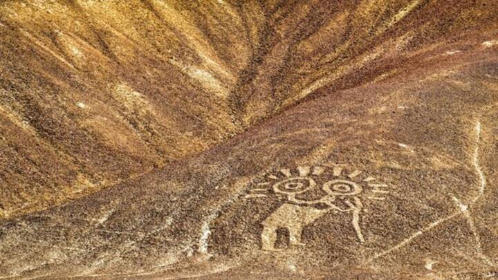 তবে এই মমিগুলির মধ্যে দু’টিকে স্ত্রী এবং একটিকে পুরুষ বলে চিহ্নিত করার খবরও সামনে এসেছে। ৫ ফুট ৬ ইঞ্চি দৈর্ঘ্যের একটি মমির শরীরে কাটা এবং কামড়ের দাগ রয়েছে।