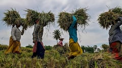 Monsoon Update: আগামী ৩ দিনের মধ্যে বর্ষা উত্তরবঙ্গে, নামতে পারে ধস, বাড়তে পারে নদীর জলস্তর, প্লাবনের আশঙ্কা সপ্তাহান্তে !