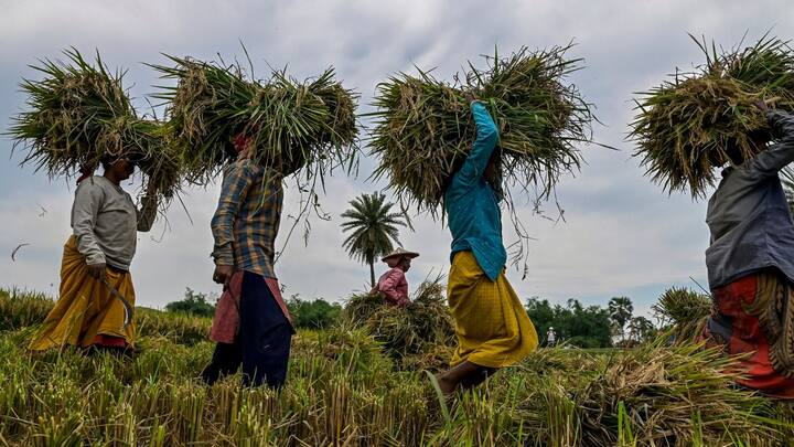 প্রাক বর্ষার বৃষ্টি শুরু বঙ্গে। মূলত মেঘলা আকাশের সম্ভাবনা। বিক্ষিপ্তভাবে বজ্রবিদ্যুৎ সহ ঝড় বৃষ্টি চলবে।বঙ্গোপসাগরে নিম্নচাপ।বুধবার থেকে ভারী বৃষ্টি শুরু দক্ষিণবঙ্গে।
