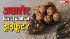 रोज खाएं इतने अखरोट...दिमाग होगा तेज, वजन रहेगा कंट्र्रोल, डाइजे​शन में भी दिखेगा सुधार