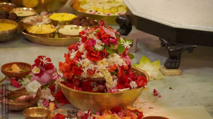 ১২৮০ বঙ্গাব্দের ১৩ জ্যৈষ্ঠ ফলহারিণী কালী পুজোর দিন ঠাকুর শ্রীরামকৃষ্ণ শ্রীমা সারদাদেবীকে সাক্ষাৎ ষোড়শী জ্ঞানে পুজো করেন। 