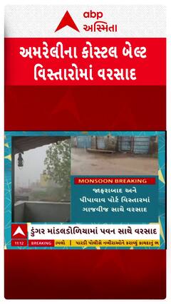 Amreli Rain : અમરેલીના કોસ્ટલ બેલ્ટ વિસ્તારમાં ધોધમાર વરસાદ