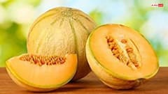 फेंकने के बजाय रोजाना करें इस खरबूजे के बीजों का सेवन, सेहत को मिलेंगे जबरदस्त फायदे