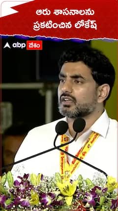 Nara Lokesh in Mahanadu 2025