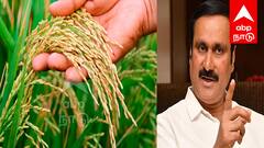 நெல் கொள்முதலில் கோடிக்கணக்கில் மோசடி ; CBI விசாரணை வேண்டும் - கொந்தளிக்கும் அன்புமணி