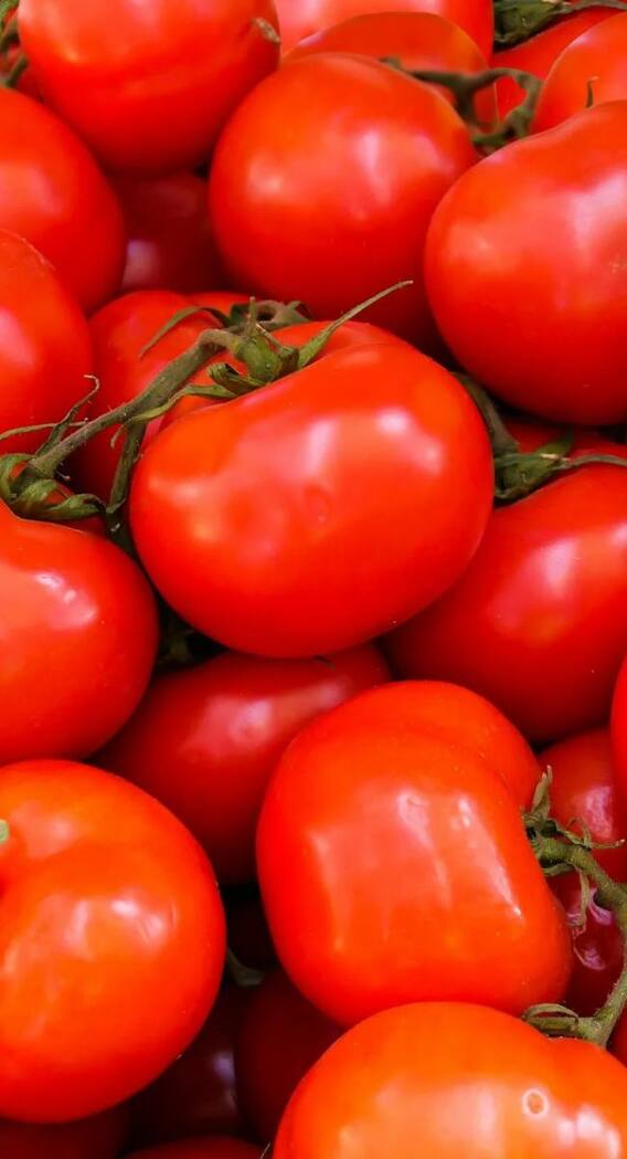 दिमाग की इस दिक्कत को दूर कर देते हैं टमाटर