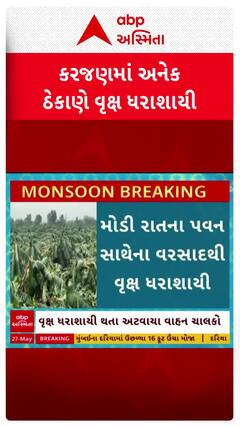 Vadodara Rains: વડોદરાના કરજણમાં અનેક ઠેકાણે વૃક્ષ ધરાશાયી