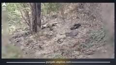 Amritsar : ਧਮਾਕੇ ਨਾਲ ਕੰਬਿਆ ਅੰਮ੍ਰਿਤਸਰ! ਇਕ ਵਿਅਕਤੀ ਗੰਭੀਰ ਜ਼ਖਮੀ, ਪੁਲਿਸ ਨੇ ਫੋਰੈਂਸਿਕ ਟੀਮ ਨੂੰ ਸੱਦਿਆ, ਇਲਾਕੇ 'ਚ ਖੌਫ ਦਾ ਮਾਹੌਲ