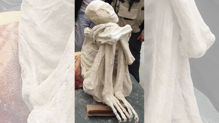 তাই বিজ্ঞানীদের মতে, শান্তিপূর্ণ মৃত্যু হয়নি মমিগুলির। আঘাত পেয়ে, হিংস্র মৃত্যুর শিকার হয় সেগুলি। তাই মমিগুলিকে জীবিত অবস্থায় খুন করা হয় বলেই মত বিজ্ঞানীদের।