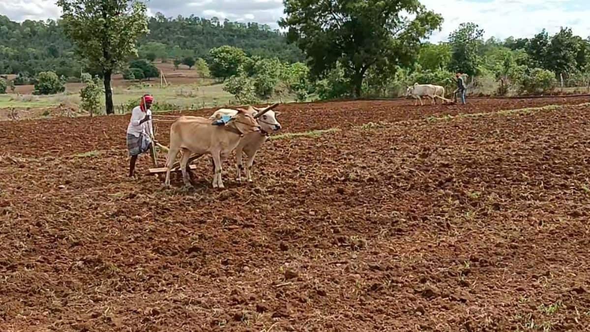 நவம்பர் 30-க்குள் இதைச் செய்யுங்கள்! காஞ்சிபுரம் விவசாயிகளுக்கு முக்கிய அறிவிப்பு!