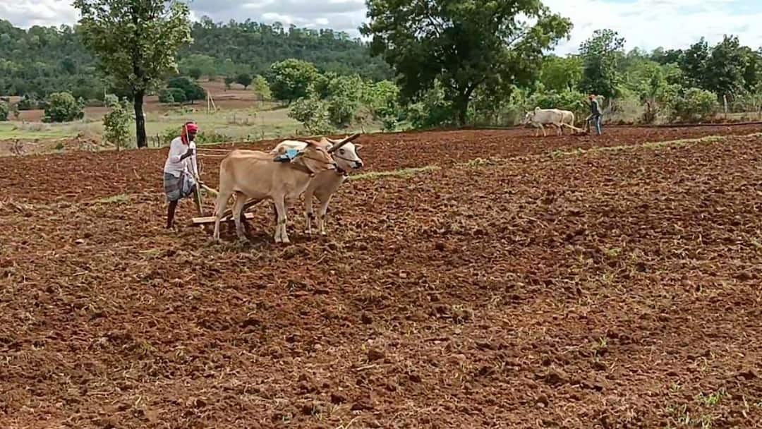 நவம்பர் 30-க்குள் இதைச் செய்யுங்கள்! காஞ்சிபுரம் விவசாயிகளுக்கு முக்கிய அறிவிப்பு!