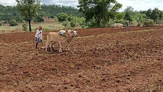 Farmers News: ఖరీఫ్ సాగు మొదలుపెట్టిన రైతులు ఈ విషయం తెలుసుకోండి.. వ్యవసాయ శాస్త్రవేత్తల కీలక సూచనలివే