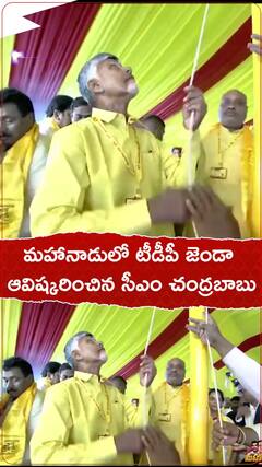 CM Chandrababu unfurls TDP flag in Mahanadu