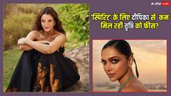 मोटी फीस की डिमांड के चलते ‘स्पिरिट’ से निकाली गई दीपिका पादुकोण! जानें-अब तृप्ति को कितनी मिल रही रकम