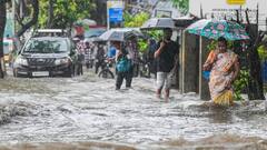 Mumbai On Red Alert After 250 MM Rain In 13 Hours; Roads, Trains Hit Due To Flooding