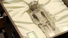 Peruvian Mummies: স্বাভাবিক মৃত্যু নয়, মেরে ফেলা হয়! পেরুতে উদ্ধার 'এলিয়েন মমি' নিয়ে চাঞ্চল্যকর দাবি গবেষণায়