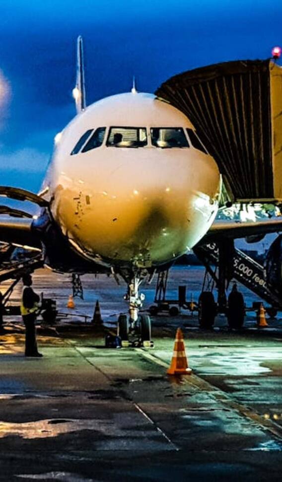 प्लेन में कुल कितने दरवाजे होते हैं?