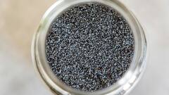 मोरिंगा पाउडर से लेकर चिया सीड्स तक, खूब ट्रेंड में हैं ये चीजें; जानें असल में कितनी हैं कारगर