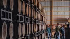 India-UK FTA To Enhance Price Competitiveness Of Scotch: Pernod Ricard India