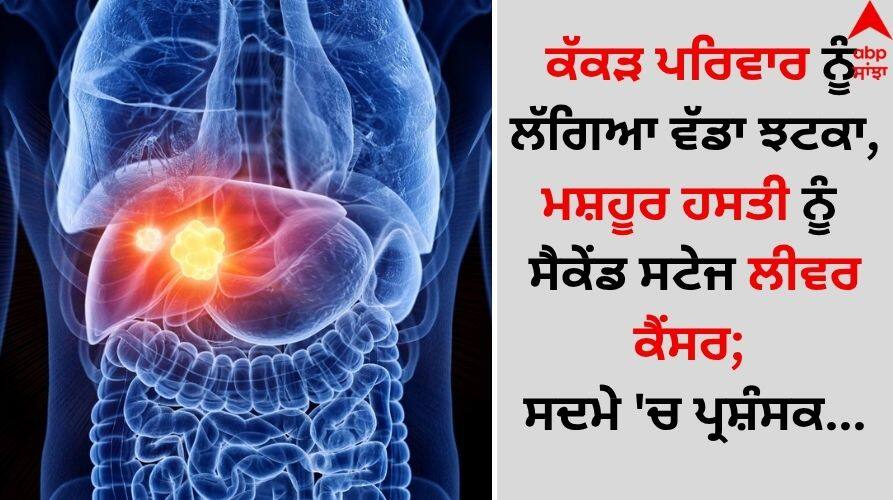 TV actress dipika-kakar-diagnosed-with-second-stage-cancer-in-liver-post went viral Shocking: ਕੱਕੜ ਪਰਿਵਾਰ ਨੂੰ ਲੱਗਿਆ ਵੱਡਾ ਝਟਕਾ, ਮਸ਼ਹੂਰ ਹਸਤੀ ਨੂੰ ਸੈਕੇਂਡ ਸਟੇਜ ਲੀਵਰ ਕੈਂਸਰ; ਸਦਮੇ 'ਚ ਪ੍ਰਸ਼ੰਸਕ...