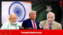 Donald Trump: ‘ট্রাম্পের জন্যই যুদ্ধবিরতি সম্ভব হয়েছে’, এবার আদালতে হলফনামা, ভারত ও পাকিস্তানকে নিয়ে ফের বড় দাবি আমেরিকার