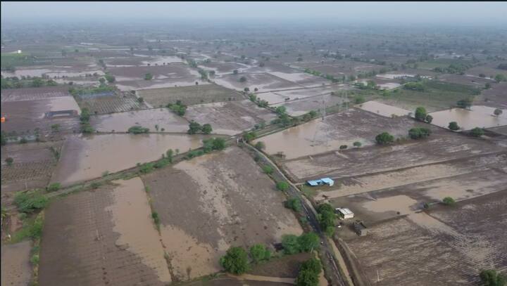 या पावसाने मोसंबी पिकाचे देखील मोठ्या प्रमाणावर नुकसान झालं