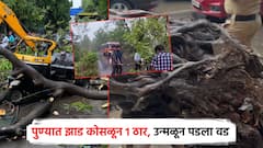 पुण्यात झाड कोसळून 1 ठार, मुंबई उन्मळून पडला वड; कोकणातही ST चा मार्ग थांबला, कौलारू उडाले