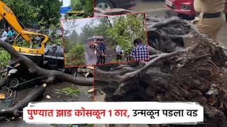 पुण्यात झाड कोसळून 1 ठार, मुंबई उन्मळून पडला वड; कोकणातही ST चा मार्ग थांबला, कौलारू उडाले