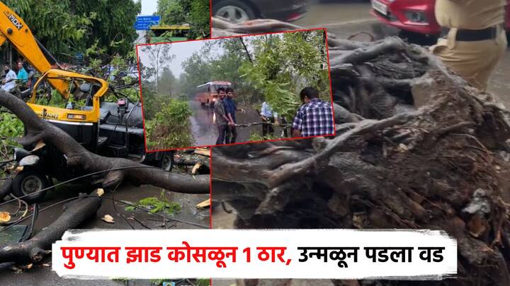 राज्यात आज पुन्हा एकदा मुसळधार पावसाने अनेक जिल्ह्यात हजेरी लावली असून मुंबई पुण्यासह कोकणातही वादळी वाऱ्यासह पाऊस पडला आहे. त्यामध्ये, काही ठिकाणी झाडे उन्मळून पडली असून घरांचेही नुकसान झालं आहे.