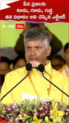 Chandrababu About NTR