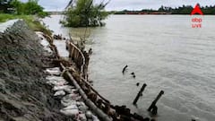 Sundarban Situation: বেহাল বাঁধের অবস্থা, দুর্যোগের পূর্বাভাসে আতঙ্কিত সুন্দরবনের নদীপাড়ের বাসিন্দারা