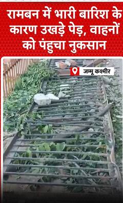 Jammu Kashmir News: रामबाण में भारी बारिश के कारण उखड़े पेड़, वाहनों को पहुंचा नुकसान | shorts