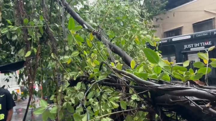 मुंबईच्या अंधेरी पूर्वेत ओल्ड नागरदास परिसरात जोरदार पावसामध्ये रिक्षावर झाड कोसळल्याचा धक्कादायक घटना घडली. दुपारी तीनच्या सुमारास पश्चिम उपनगरात जोरदार पाऊस सुरू होता याच वेळी अंधेरी ओल्ड नागरदास रोडवर रिक्षा जात असताना रिक्षावर झाड कोसळला,