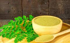 ਮੋਰਿੰਗਾ ਪਾਊਡਰ ਤੋਂ ਲੈਕੇ ਚੀਆ ਸੀਡਸ ਤੱਕ, ਖੂਬ ਟ੍ਰੈਂਡ 'ਚ ਹਨ ਆਹ ਚੀਜ਼ਾਂ; ਜਾਣੋ ਅਸਲ 'ਚ ਕਿੰਨੀਆਂ ਅਸਰਦਾਰ