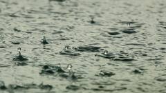 Incessant Rains Lash TN's Nilgiris: 17 Houses Damaged, 275 Evacuated; MP Raja Leads Relief Efforts