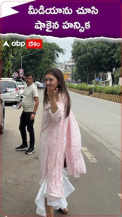 మీడియాను చూసి షాకైన హన్సిక